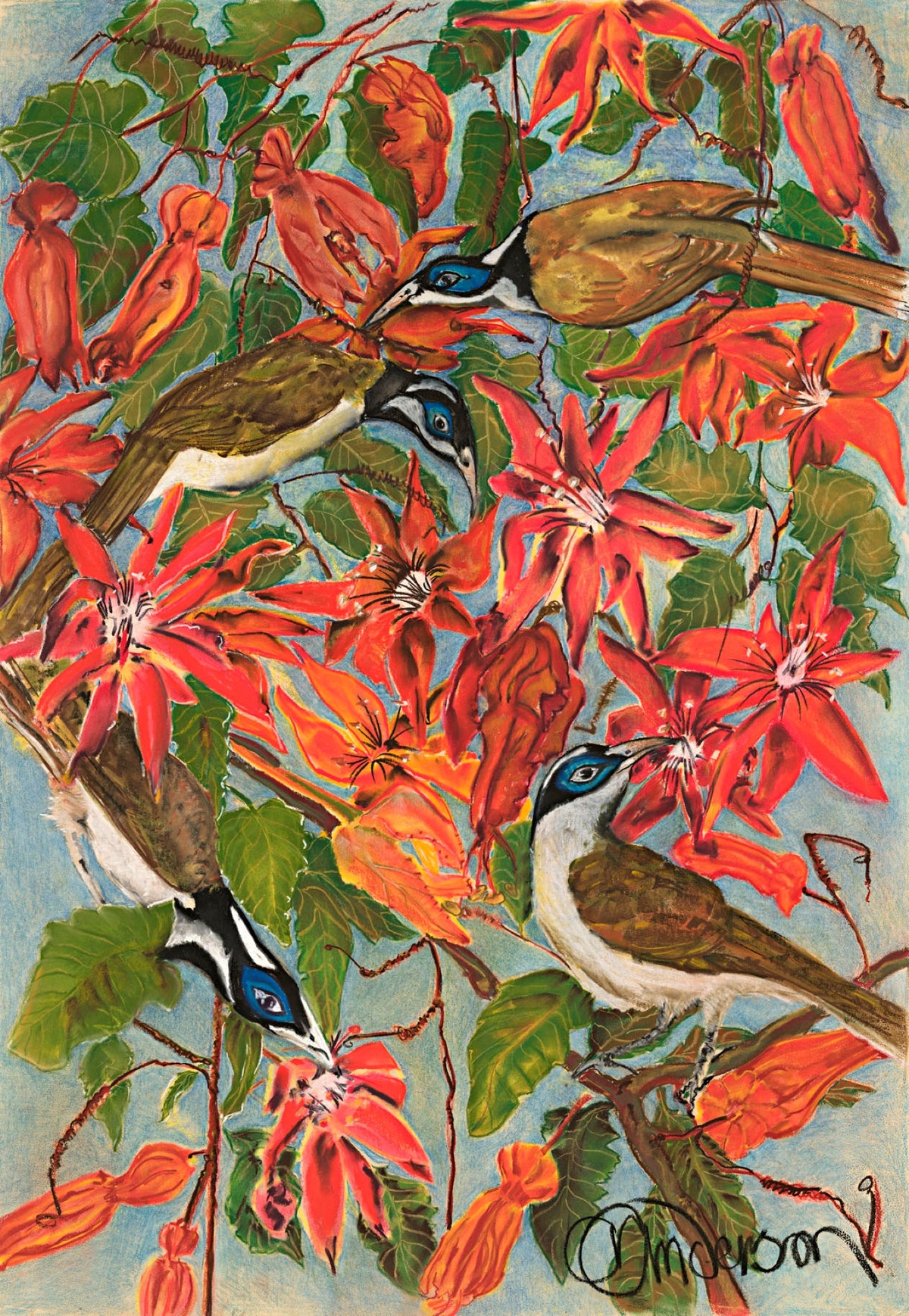 Noosa Birds Series 1: Chaotic Colour by Angela Anderson
