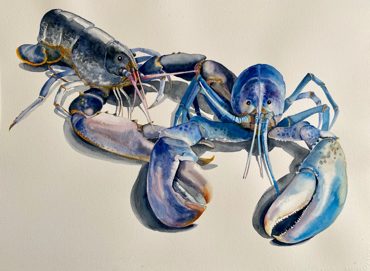Lobster Dual by Carol Croad