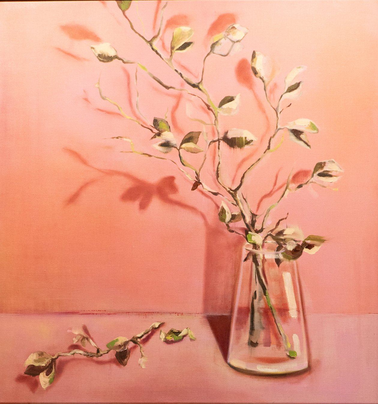 Fiona Bastow - Pink Hakea