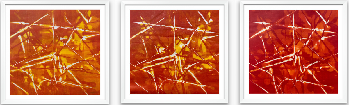 Decussation Triptych by Amy Miller